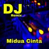 DJ Midua Cinta Langlayangan APK
