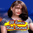 DJ Keju Joget Remix VIral Offline
