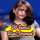 DJ Keju Joget Remix VIral Offline icône