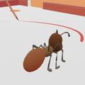 Insect trap
