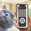 Cat remote | Translator