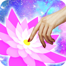 Lotus Wisdom APK