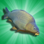 Arcade Carp Fishing أيقونة