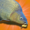 Carp Fishing Simulator Free Demo