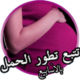 تتبع تطور الجنين بالأسابيع icono