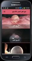 تتبع تطور الجنين بالأسابيع screenshot 2