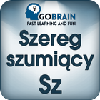 Szereg szumiący. Część I. SZ. Zeichen