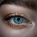 Eye Spy Memory Game APK