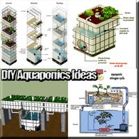 Aquaponics Ý tưởng DIY bài đăng