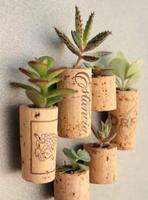 DIY Gardening Planting Ideas capture d'écran 1