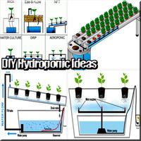 Hydroponische DIY-Ideen Plakat