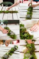 DIY Succulent Planter স্ক্রিনশট 3