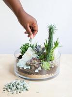 DIY Succulent Planter পোস্টার