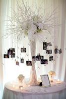 DIY الزفاف أفكار Decoratiing تصوير الشاشة 2