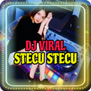 DJ Stecu Stecu Lagi Viral APK