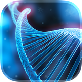 DNA Live Wallpaper icône