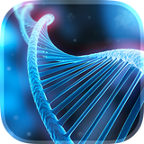 DNA Live Wallpaper আইকন