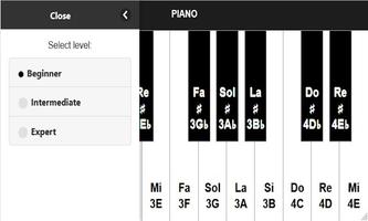 Piano Ekran Görüntüsü 1