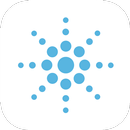 DP ventilation APK