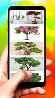Bonsai Design Ideas постер