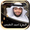 البقرة احمد النفيس بدون نت