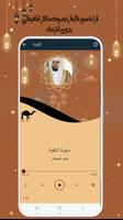 البقرة للقارئ  ماهر بدون نت screenshot 2