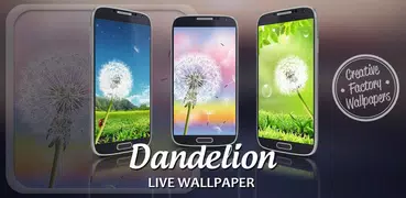 Dandelion Live Wallpaper