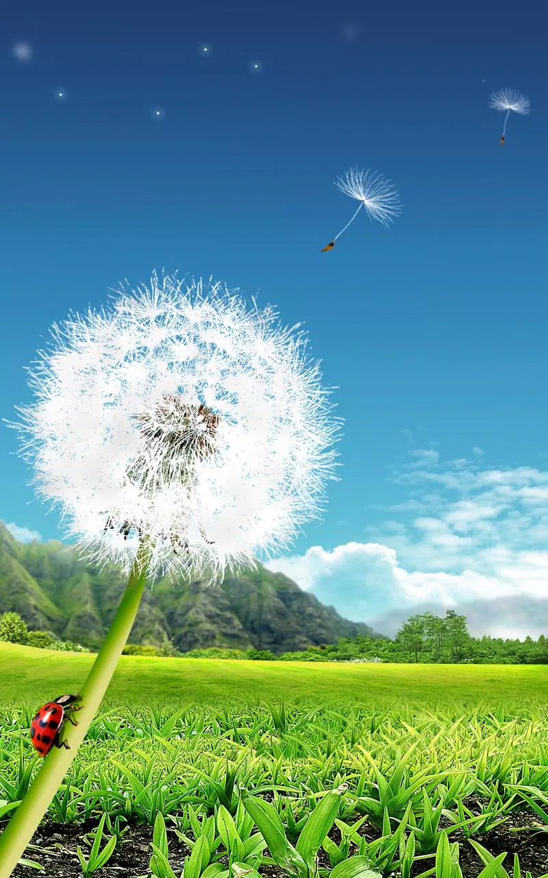Tải xuống APK Cây Bồ Công Anh Hình Nền Động cho Android