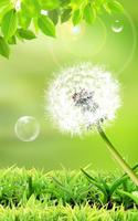 برنامه‌نما Dandelion Live Wallpaper عکس از صفحه