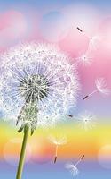 برنامه‌نما Dandelion Live Wallpaper عکس از صفحه