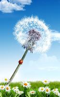 برنامه‌نما Dandelion Live Wallpaper عکس از صفحه