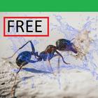 Ant Crush2D - Free Game simgesi