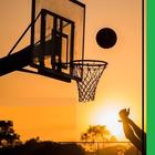 Basket Ball 2D - Free Game icon