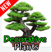 New Decoration Plant ideas