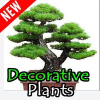 New Decoration Plant ideas Affiche