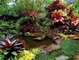 Decorative Plants Garden screenshot 1