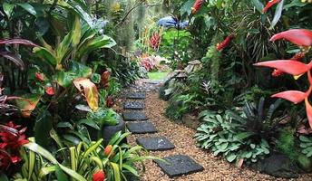 Decorative Plants Garden screenshot 3