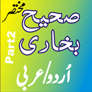 sahih bukhari urdu & arabic volume 2 APK