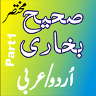 Sahi Bukhari Urdu & Arabic Part1 icône