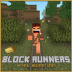 Block Runner: Forest