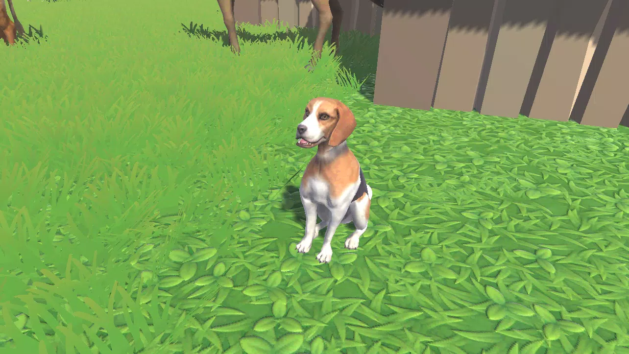 Interactive 3D Animals for Kid APK for Android Download Interactive 3D Animals for Kid APK for Android Download