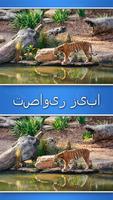 برنامه‌نما بازی تفاوت عکس از صفحه