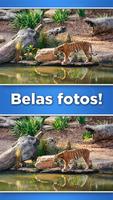 Jogo da diferença imagem de tela 1