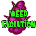 Weed Evolution Zeichen