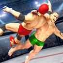 Wrestling games 3d 2023 fight APK