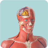 معمل الأحياء بلغة الاشارة