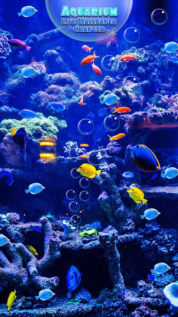 Живые аквариумы на телефон. Живой аквариум. Живые рыбки. Живые рыбки на экране. Живые обои аквариум.