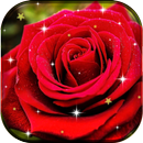 Rose Flower Live Wallpaper HD APK