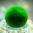 Marimo Simulator Zeichen