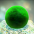 Marimo Simulator APK